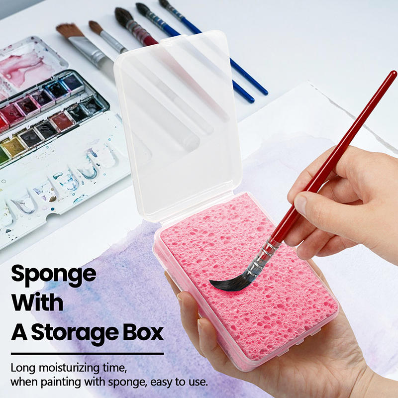 Boxed Watercolor Pigment Paint - đánh giá và giá Eco Sponge