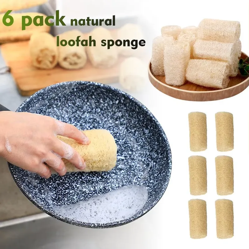 2026 Latest Natural Loofah Luf - đánh giá và giá Eco Sponge