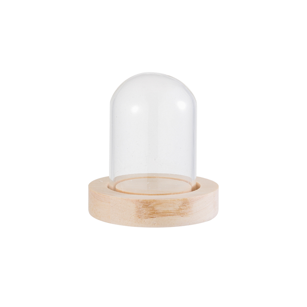 Fairy Lights Home Decor Terrar - đánh giá và giá Reusable Bottle