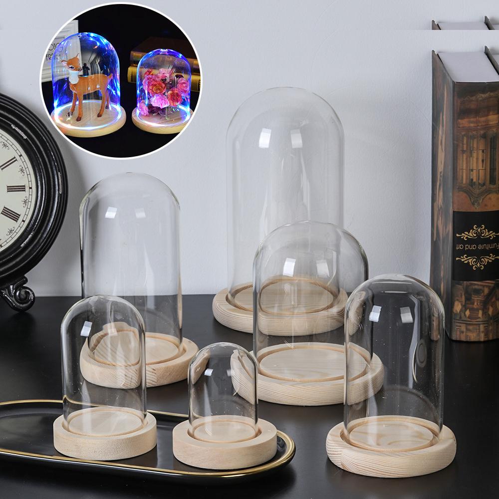 Fairy Lights Home Decor Terrar - đánh giá và giá Reusable Bottle